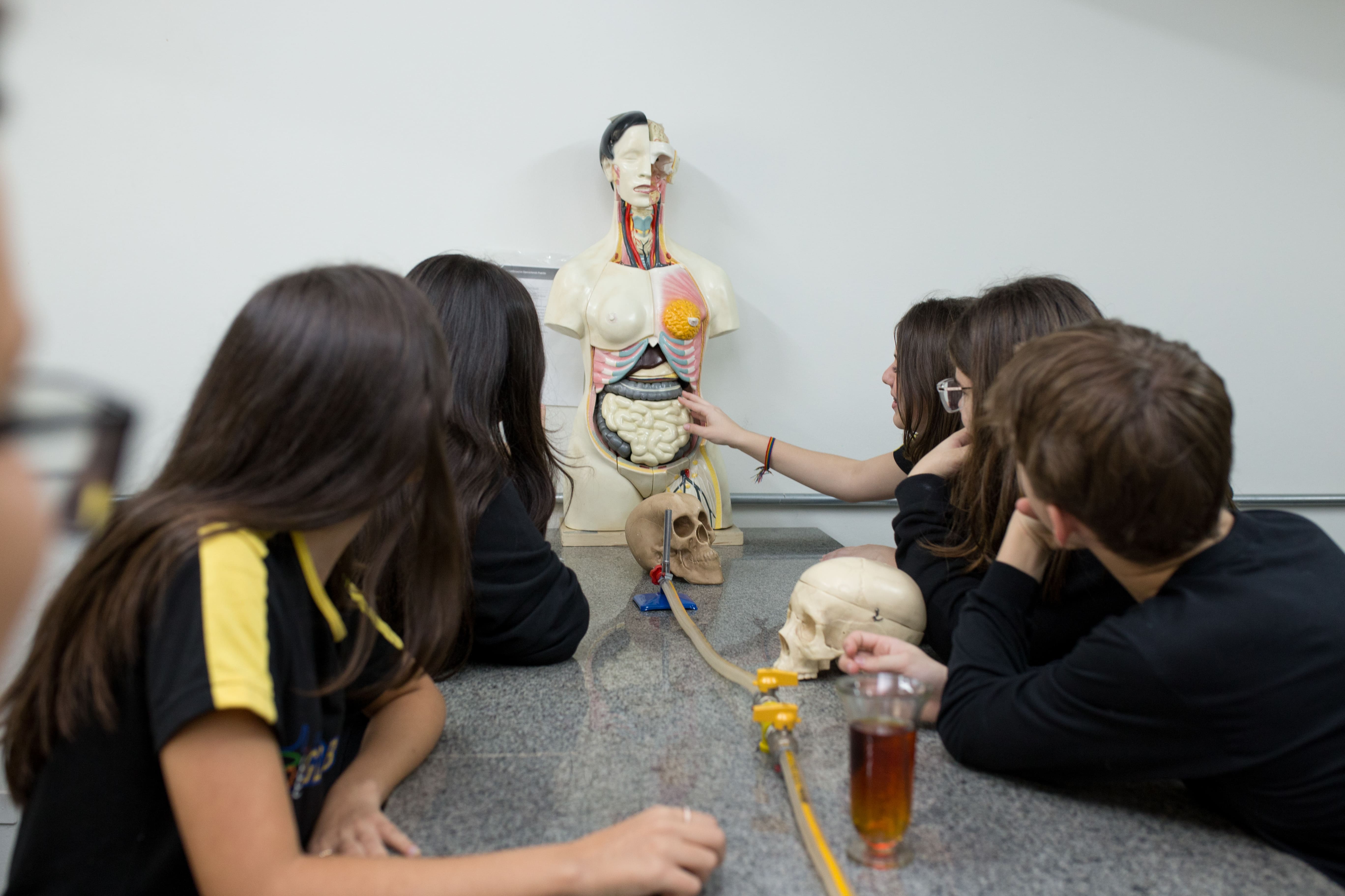 Ensino Fundamental II