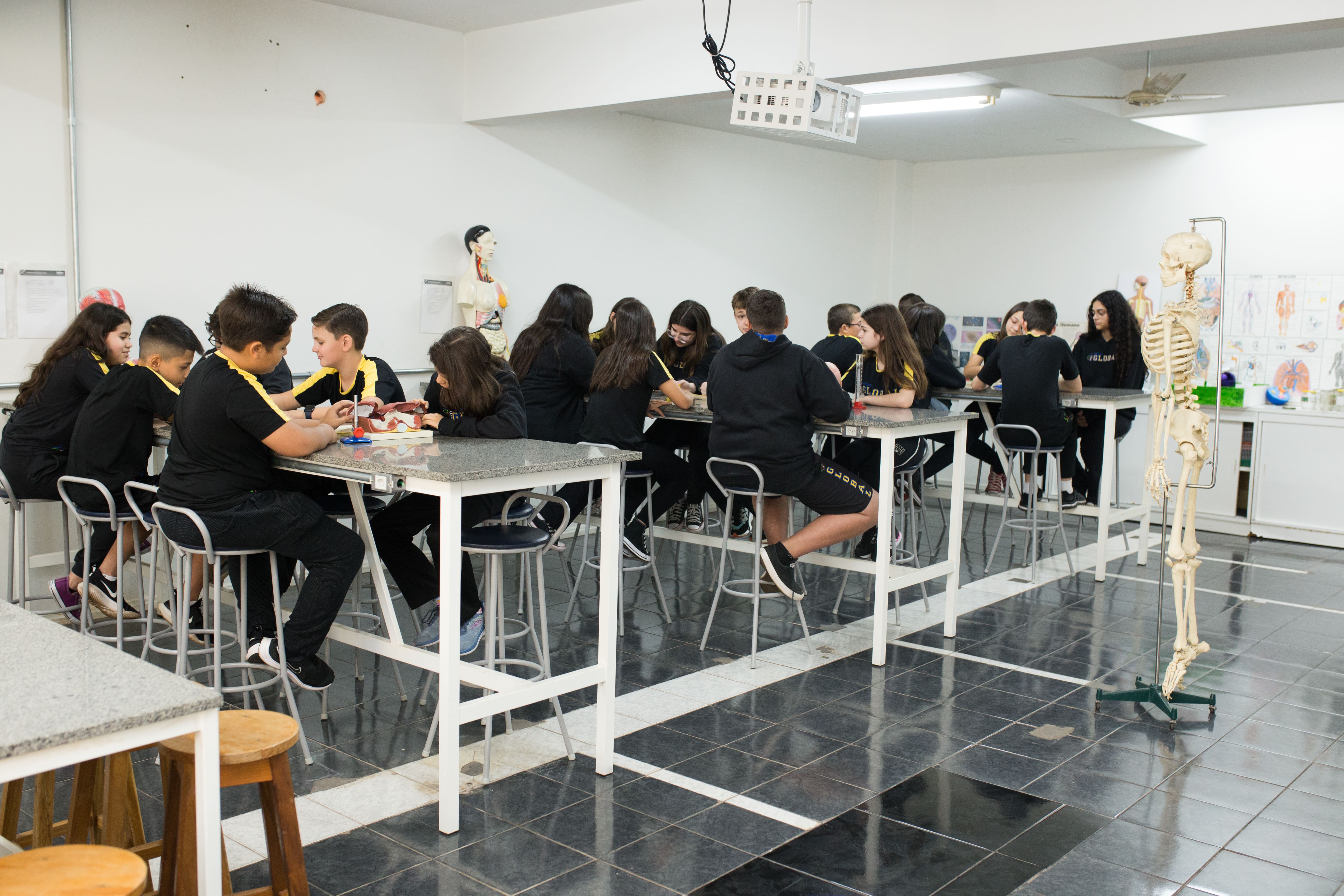 Ensino Fundamental II